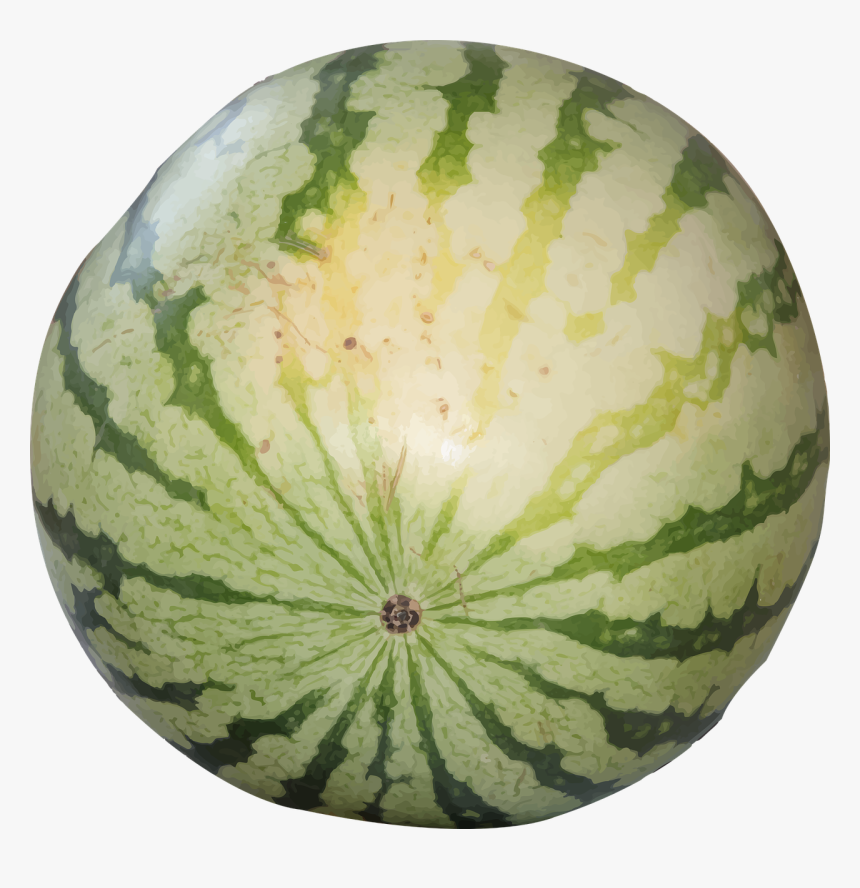 Watermelons Png, Transparent Png, Free Download