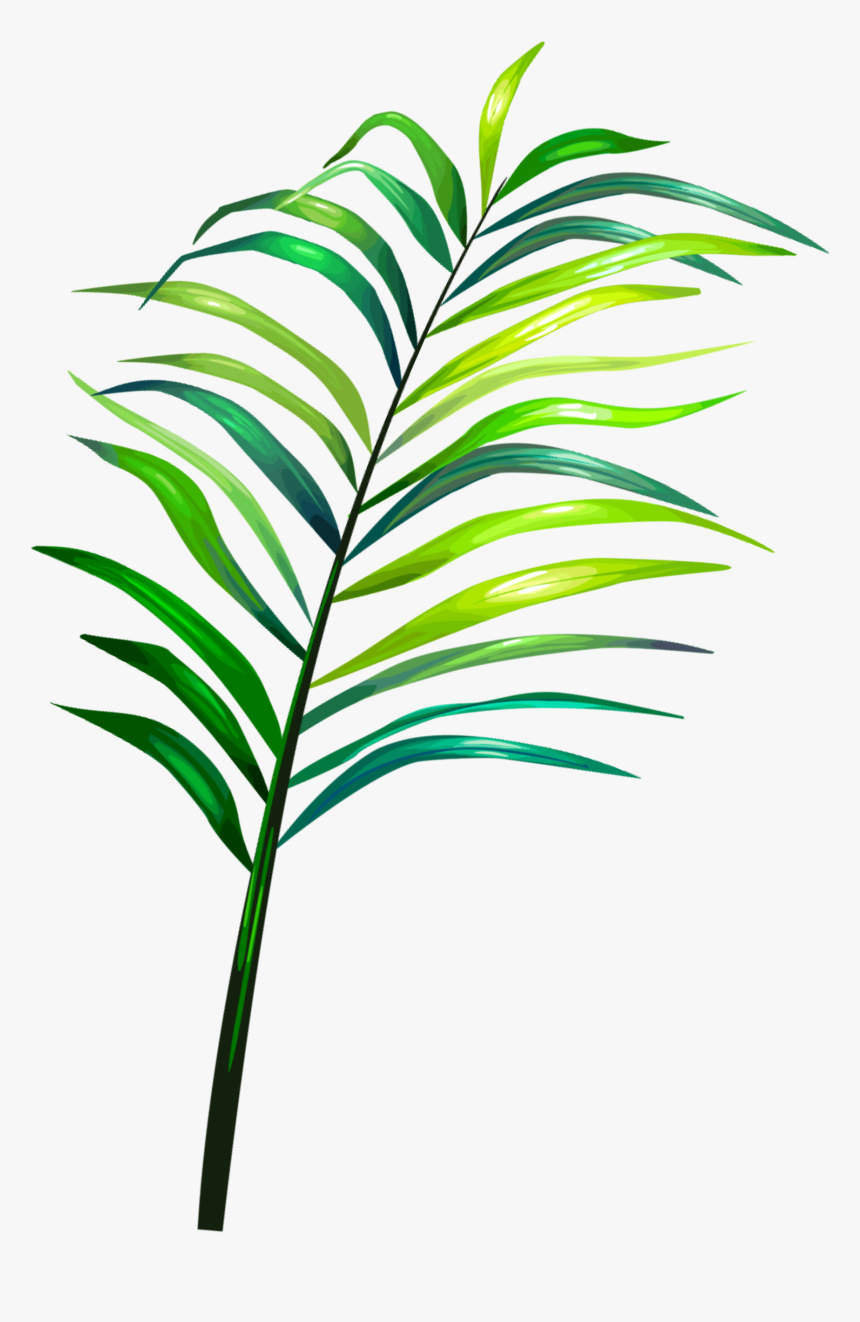 Sticker Art Tumblr Tropical Sticker Picsart Png Tropical - Tropical Png, Transparent Png, Free Download