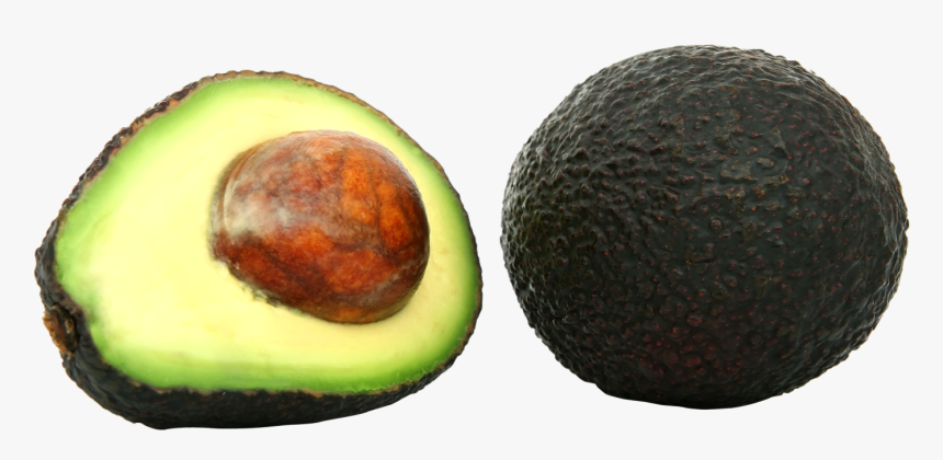 Avocado Png - Avocado With Invisible Background, Transparent Png, Free Download