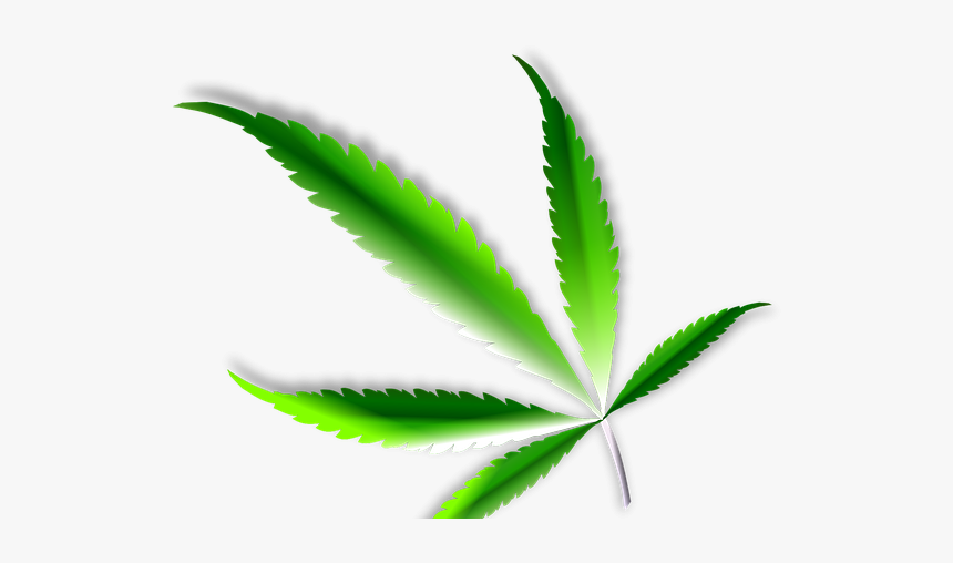Marijuana Png, Transparent Png, Free Download