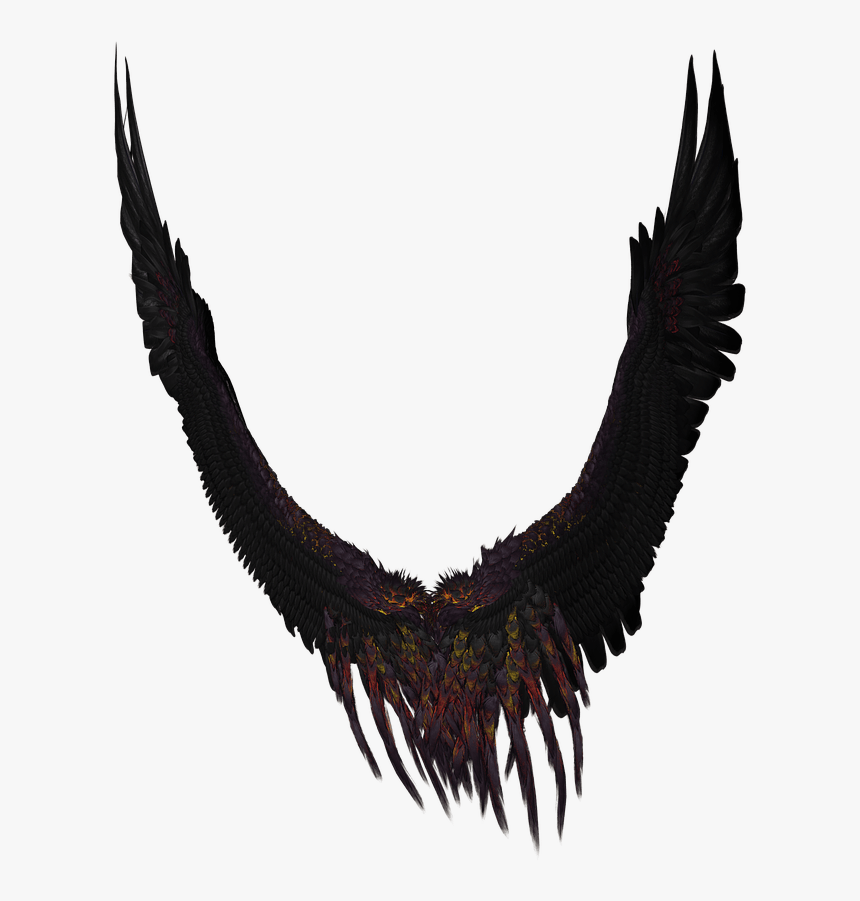 Long Black And Purple Wings - Png รูป ปีก, Transparent Png, Free Download