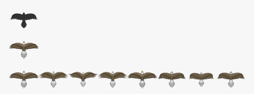 Transparent Barbed Wire Border Png - Top Down Bird Sprite Sheet, Png Download, Free Download