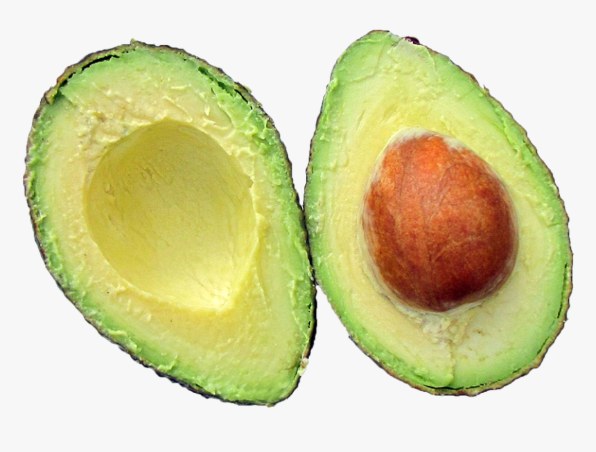 Avocado Png - Fruit Cut In Half, Transparent Png, Free Download