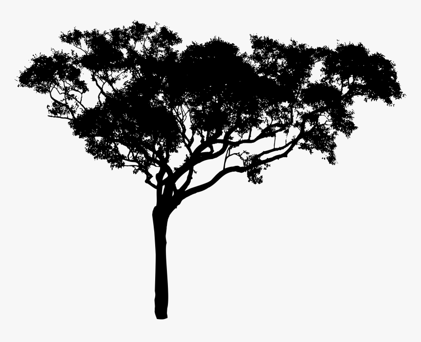 Trees Silhouette Png - Tall Tree Silhouette Png, Transparent Png, Free Download