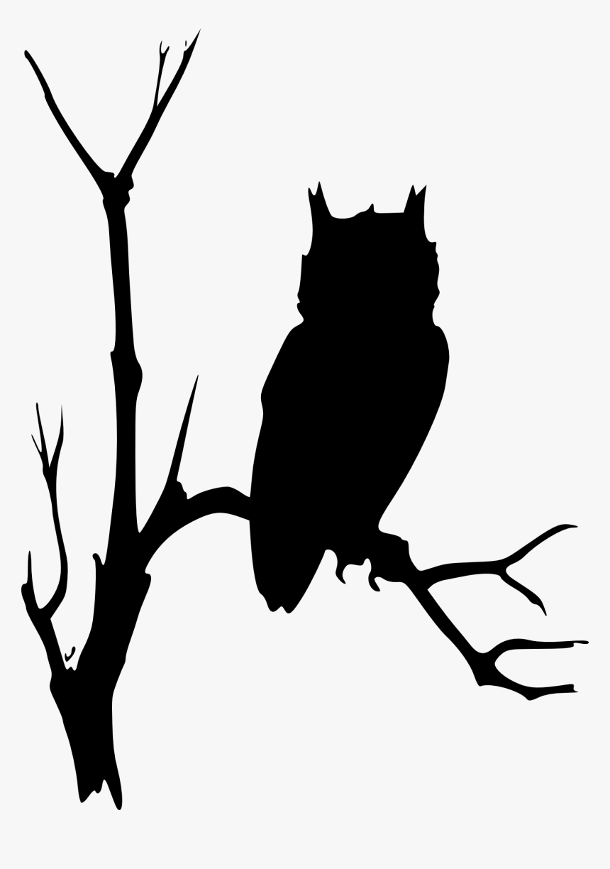 Owl On Branch Silhouette, HD Png Download, Free Download