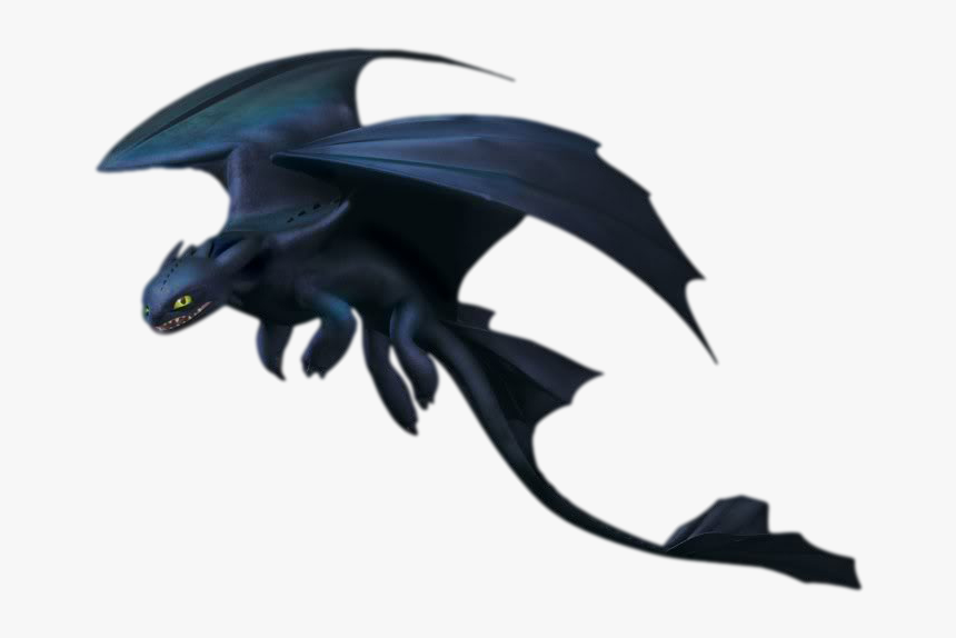 Transparent How To Train Your Dragon Png - Train Your Dragon Night Fury, Png Download, Free Download