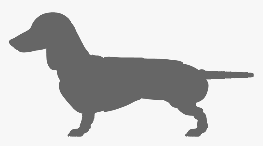 Dachshund, HD Png Download, Free Download