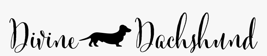 Silhouette, HD Png Download, Free Download