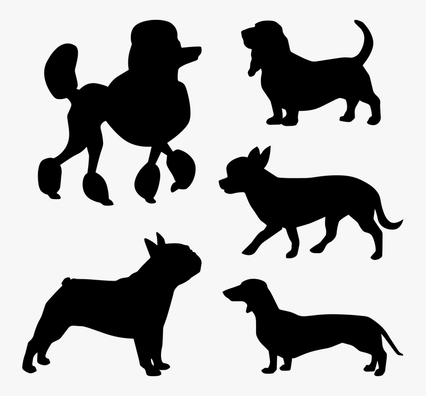 Dog Silhouettes, Small Dogs, Poodles, Beagle, Bulldog - Chihuahua Silhouette, HD Png Download, Free Download