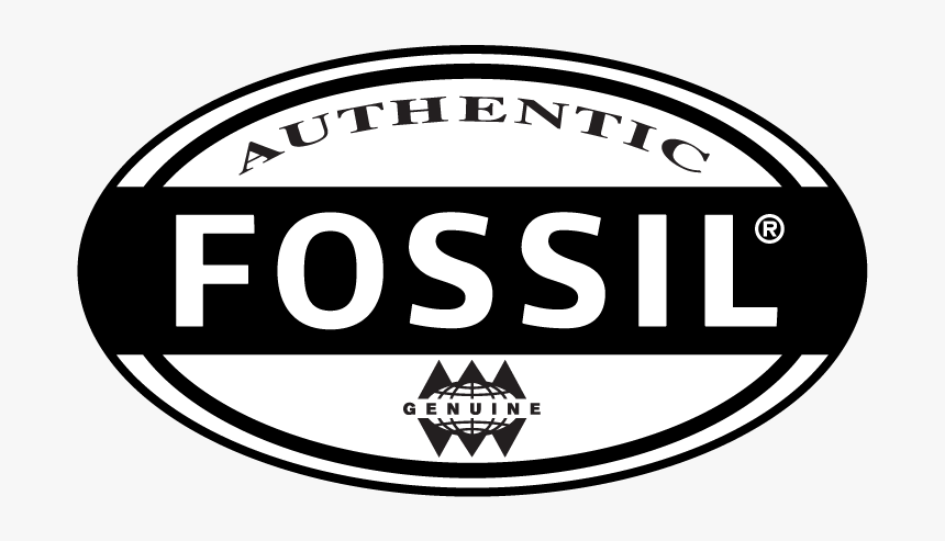 Fossil, HD Png Download, Free Download
