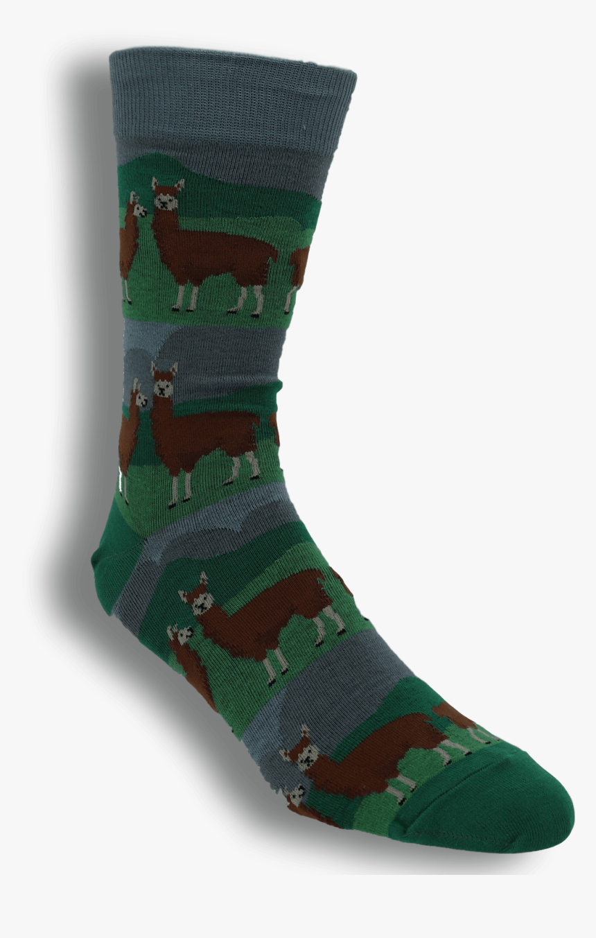 Sock, HD Png Download, Free Download