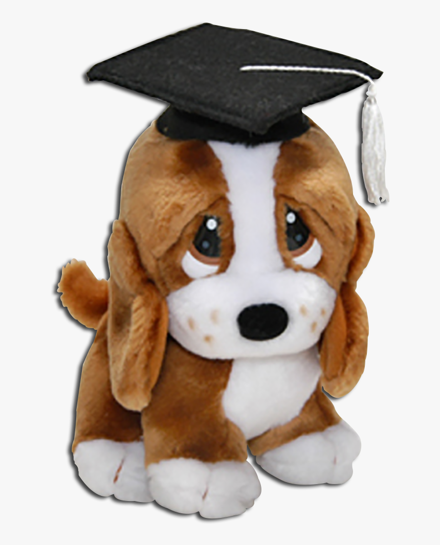 Graduation Plush Sad Sam Basset Hound Stuffed Animal
 - Graduation Dog Stuffed Animal, HD Png Download, Free Download