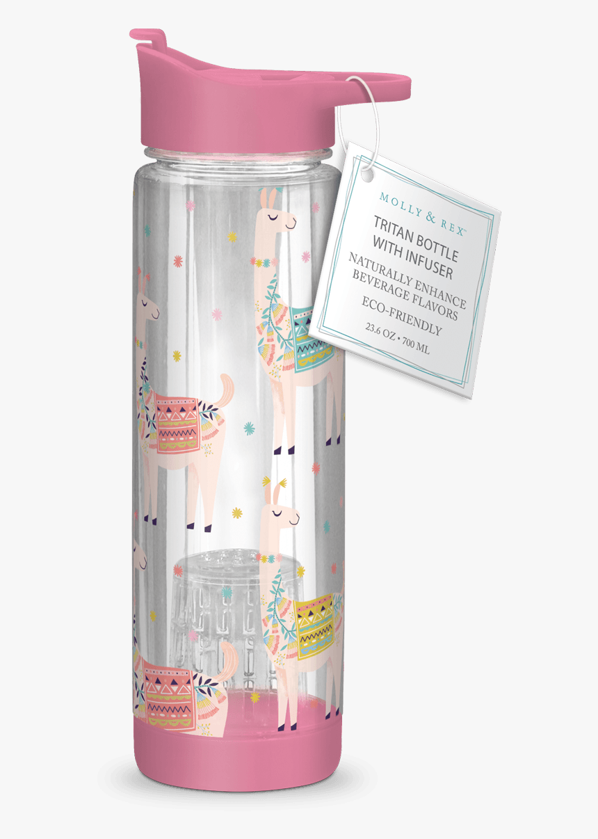 Molly &rex Water Bottle, HD Png Download, Free Download