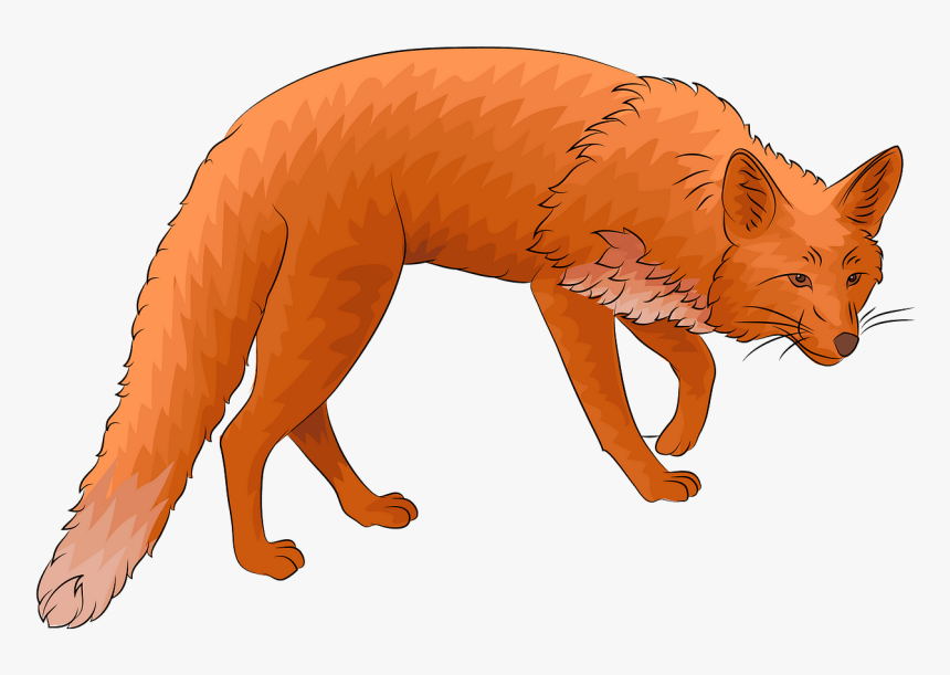 Red Fox, HD Png Download, Free Download