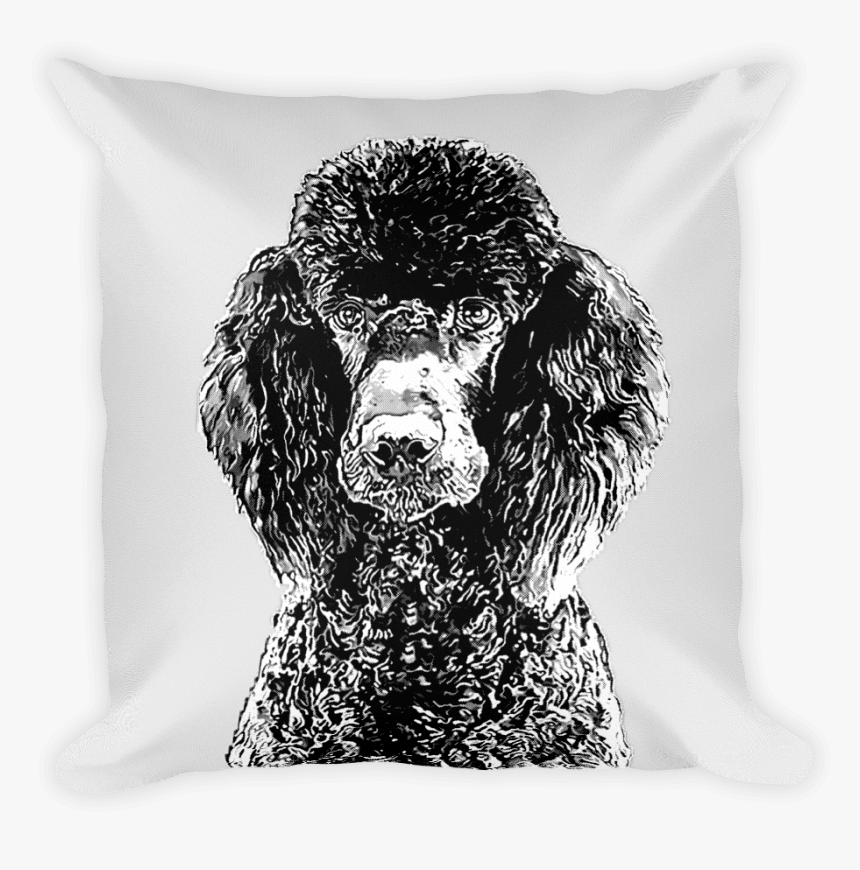 Transparent White Pillow Png - Standard Poodle, Png Download, Free Download