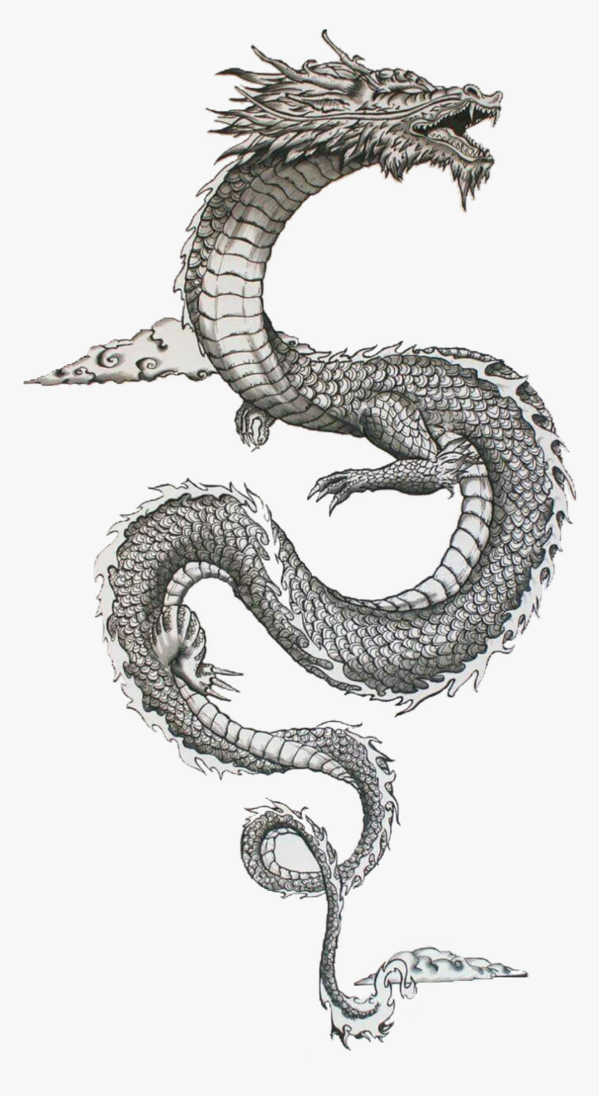 #traditional #japanese #dragon #freetoedit - Traditional Ancient Japanese Dragons, HD Png Download, Free Download