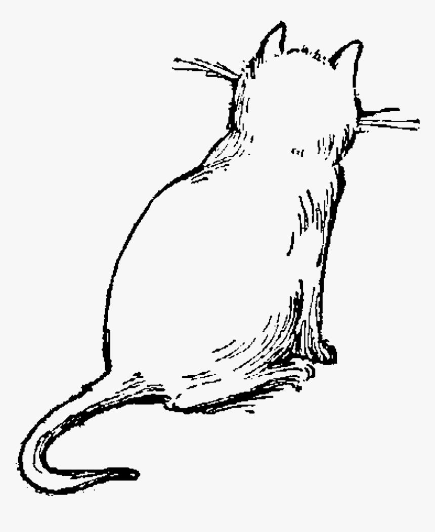 Drawing Cat Illustrations, HD Png Download, Free Download