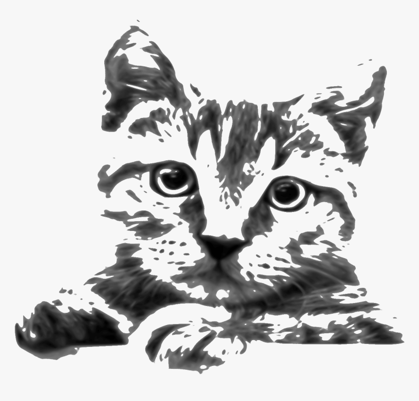 Cat Drawings In Pencil, HD Png Download, Free Download