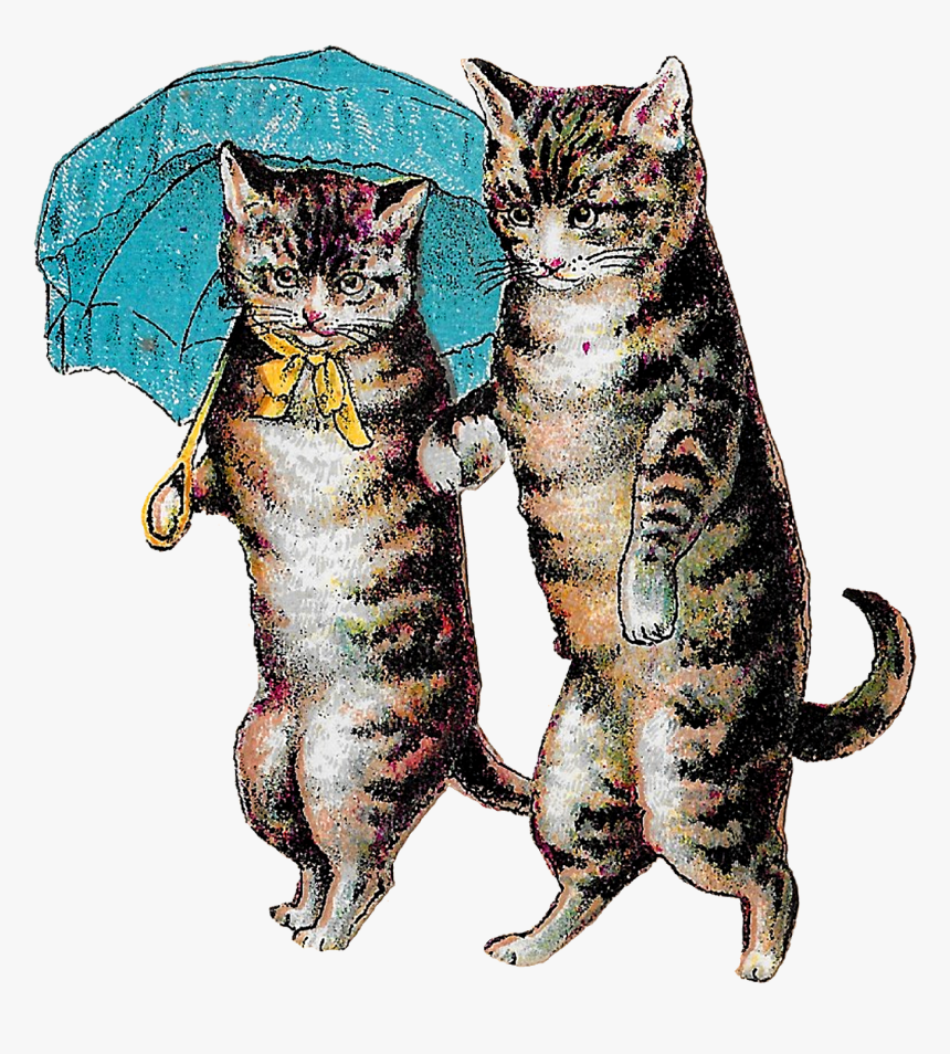 Cats Victorian Illustration Drawing Digital Download Vintage Cat Illustration Hd Png Download Kindpng