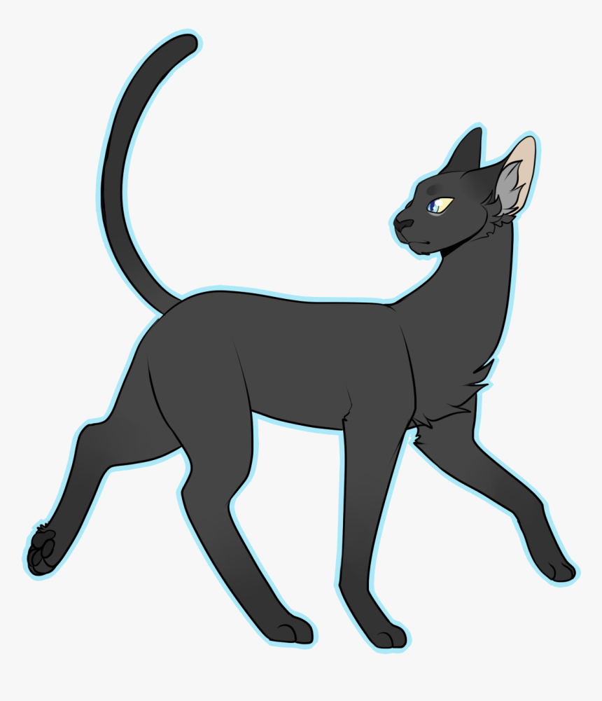 Simple Draw All The Cats - Full Body Cat Drawing, HD Png Download, Free Download