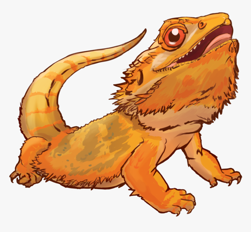 Bearded Dragon Orange Cartoon, HD Png Download, Free Download