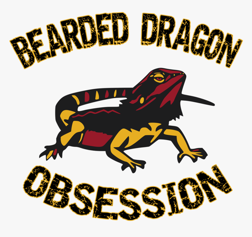 Bearded Dragon Png, Transparent Png, Free Download