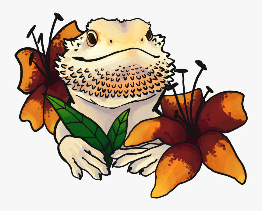 Bearded Dragon Drawing Cute, HD Png Download, Free Download