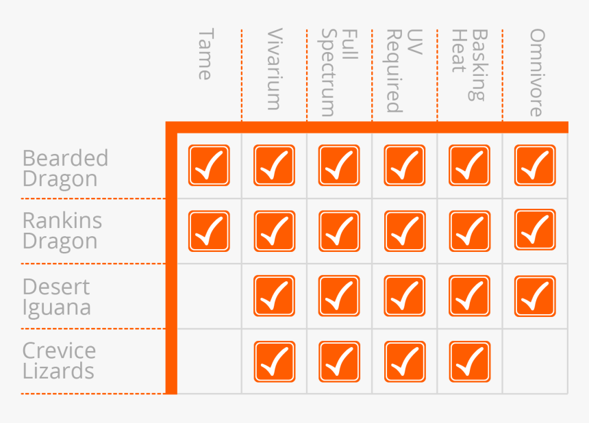 Number, HD Png Download, Free Download
