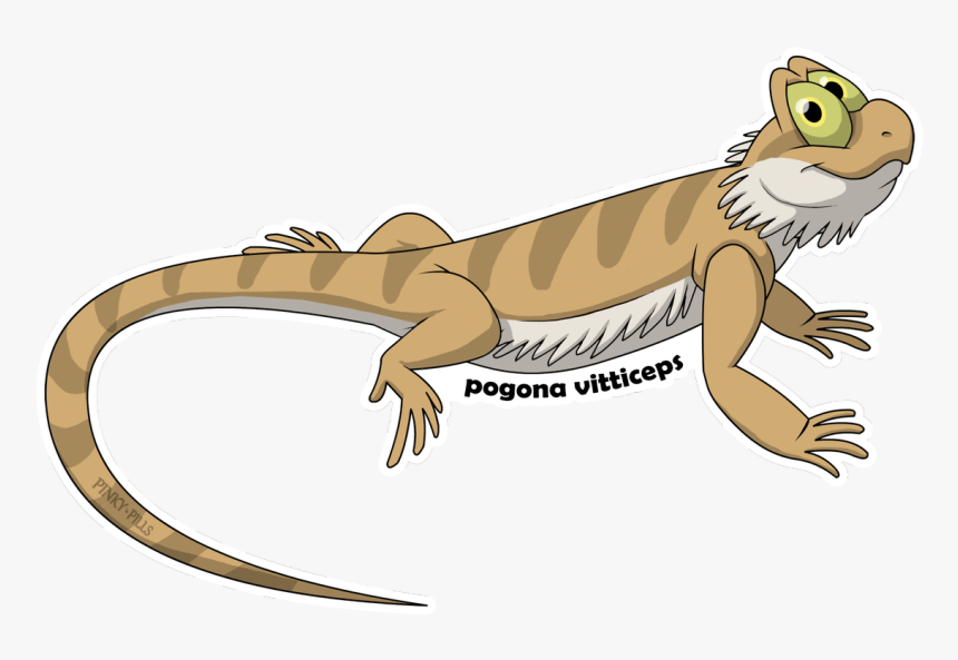 Iguana, HD Png Download, Free Download