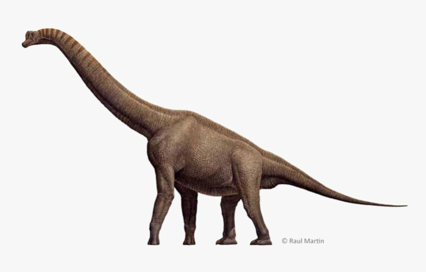 Brachiosaurus Png Free Download - Brachiosaurus Png, Transparent Png, Free Download