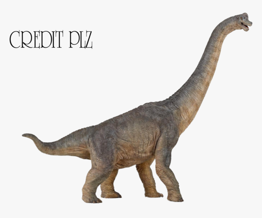 Brachiosaurus Png Transparent Image - Brachiosaurus Dinosaur, Png Download, Free Download
