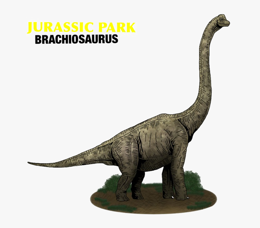 Brachiosaurus Png Photo - Jurassic World Apatosaurus Dinosaur, Transparent Png, Free Download