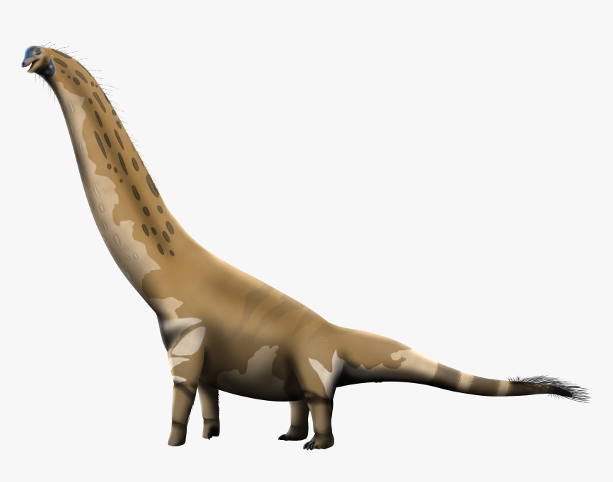 Brach V3 Standalone No Shadow - Camarasaurus Png, Transparent Png, Free Download