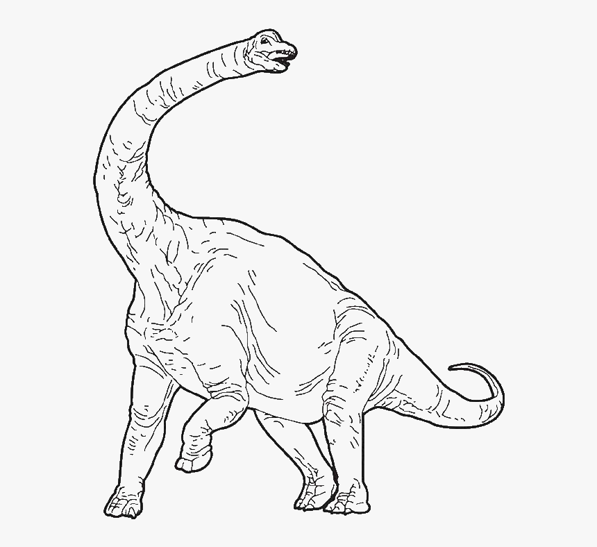 Transparent Brachiosaurus Png - Jurassic Park Brachiosaurus Coloring Page, Png Download, Free Download