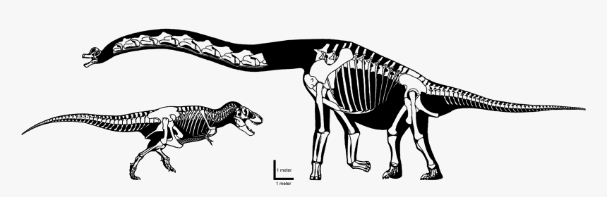 Brachiosaurus , Png Download - Brachiosaurus, Transparent Png, Free Download