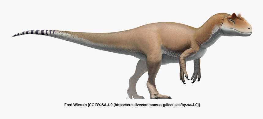 Allosaurus Reconstruction, HD Png Download, Free Download