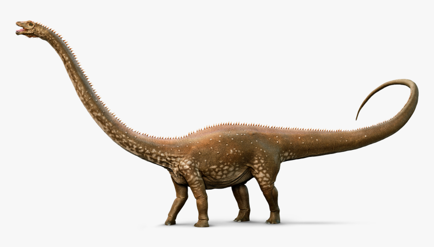 Diplodocus Png Picture - Diplodocus Png, Transparent Png, Free Download