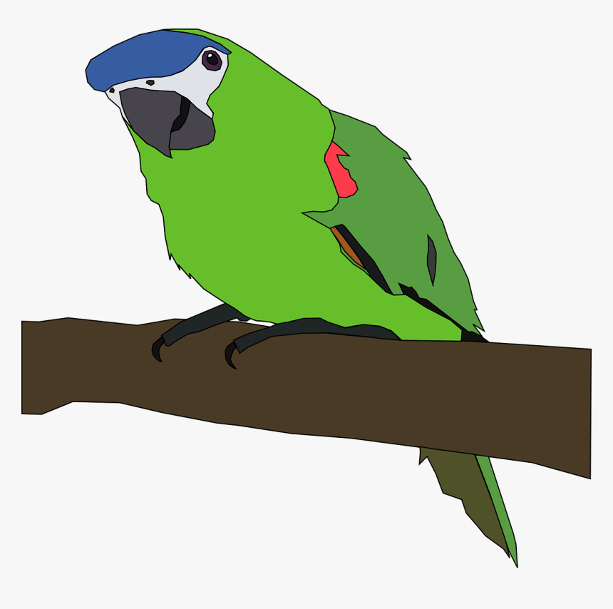 Parrot Clip Art, HD Png Download, Free Download