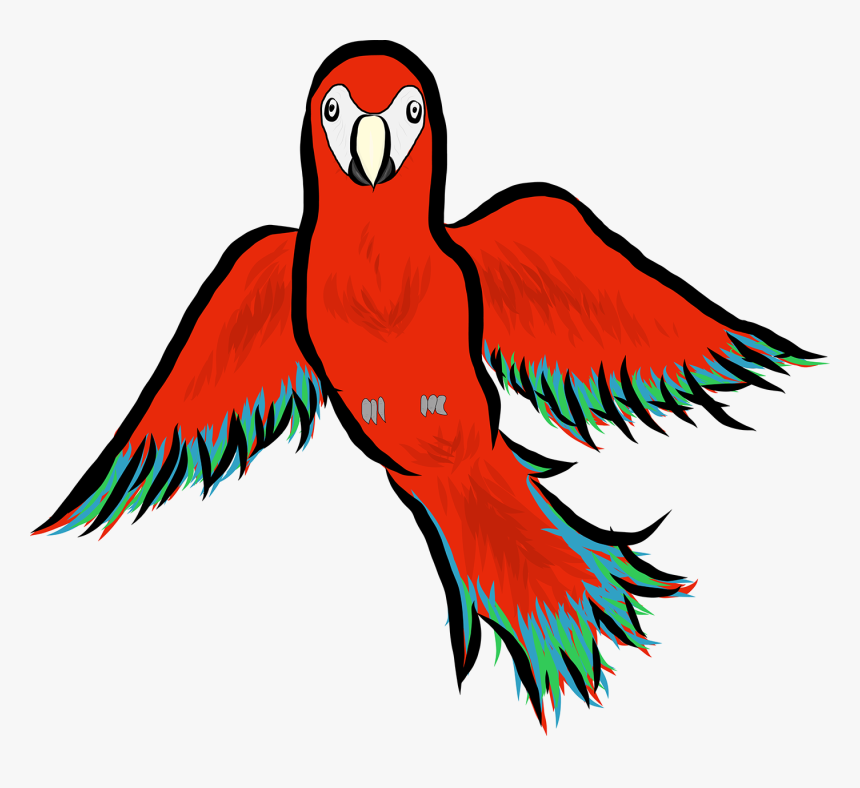 Drawn Parakeet Pop Art - Macaw, HD Png Download, Free Download