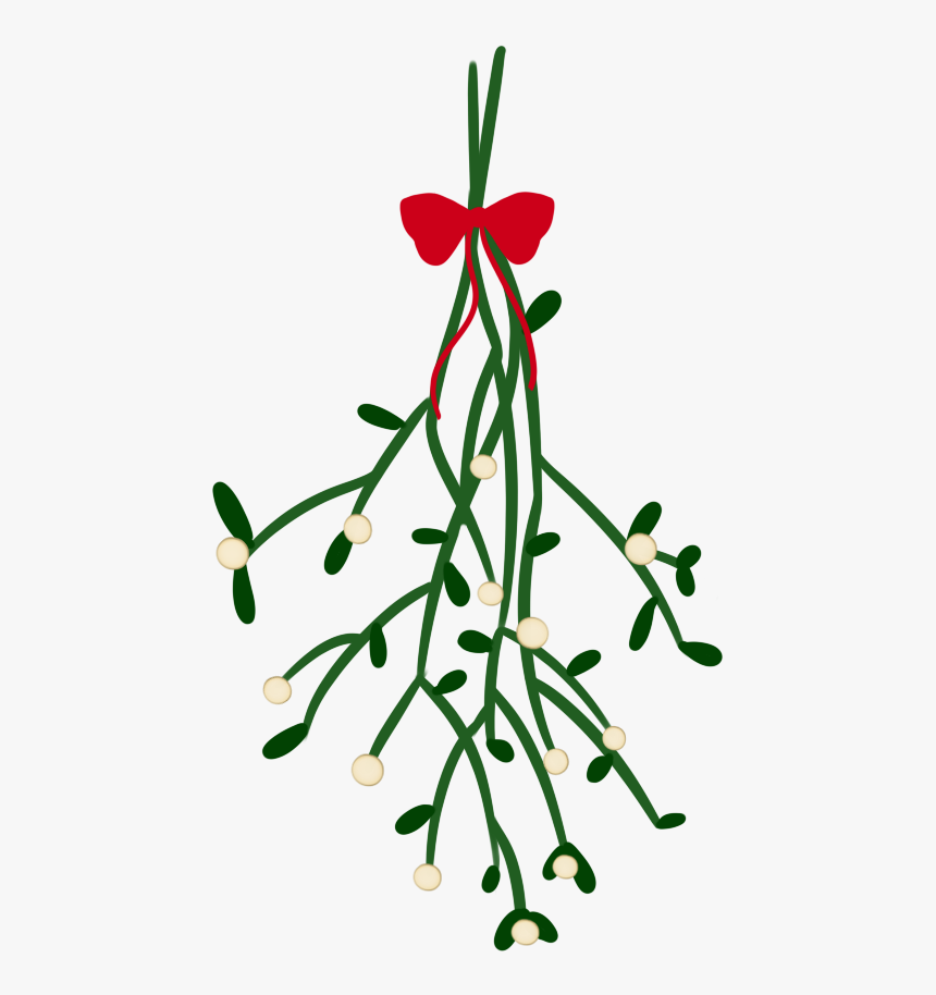 Transparent Mistletoe, HD Png Download, Free Download