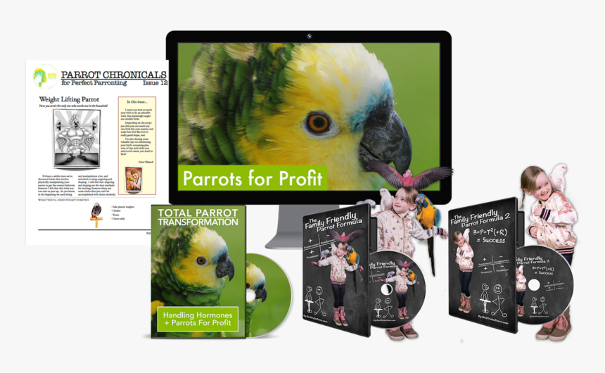 Transparent Parakeet Clipart - Parakeet, HD Png Download, Free Download