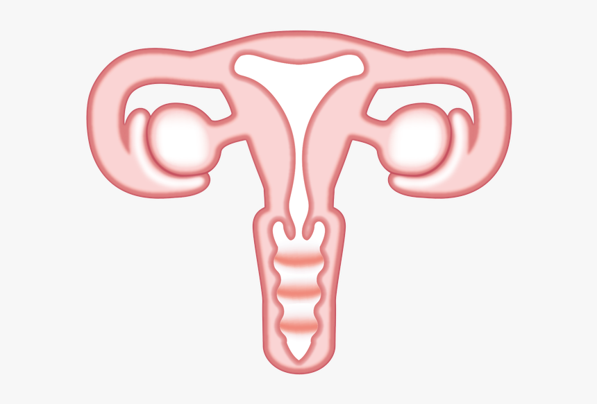 Vagina Emoji, HD Png Download, Free Download