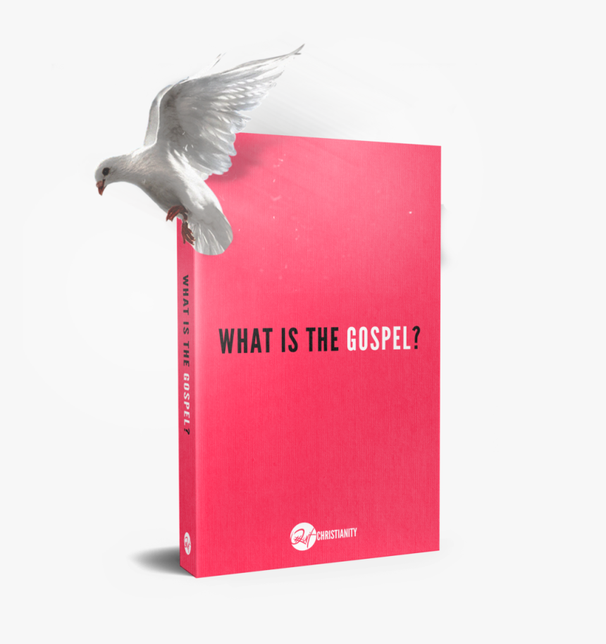What Is The Gospel - Gull, HD Png Download, Free Download