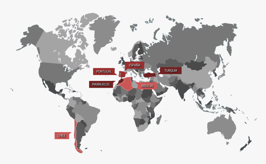 Mapa Noatum Logistics Localizacion Y Contacto - Map Of The World For Presentation, HD Png Download, Free Download
