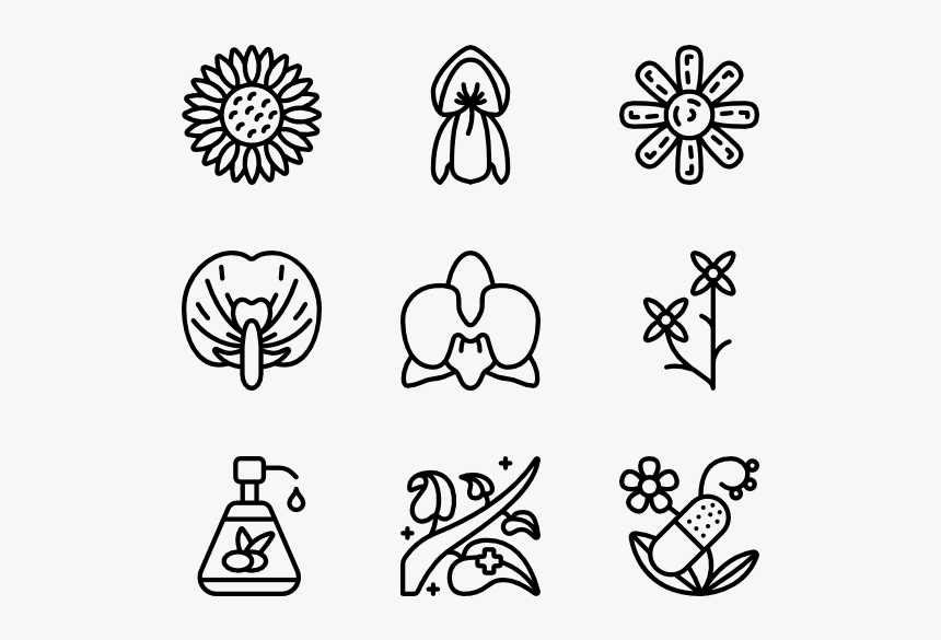 Botanicals - Friendship Icon Transparent Background, HD Png Download, Free Download