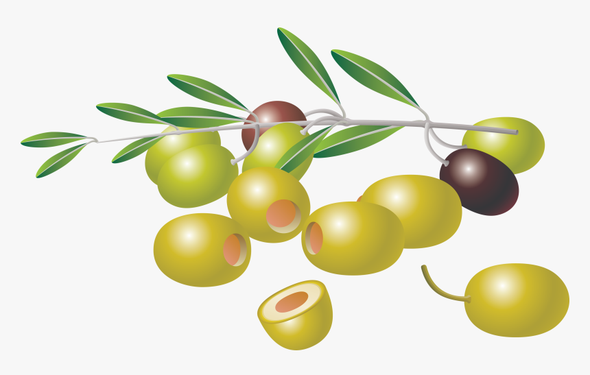 Transparent Olive Png - Clipart Picture Of Olives, Png Download, Free Download