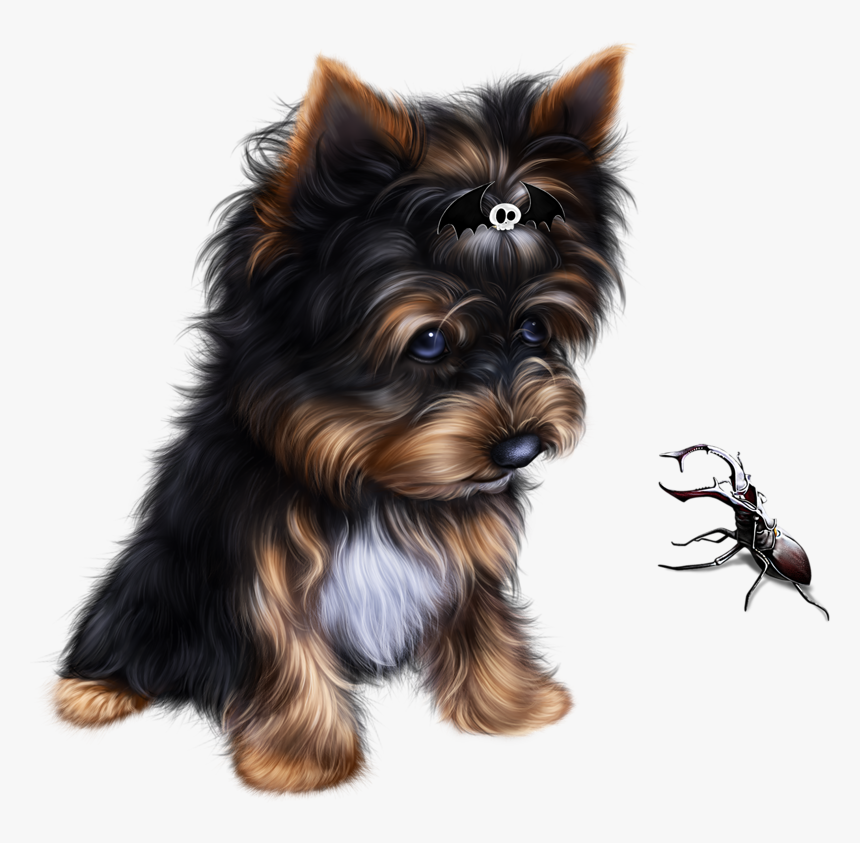 Transparent Yorkie Png - Transparent Image Halloween Dog, Png Download, Free Download