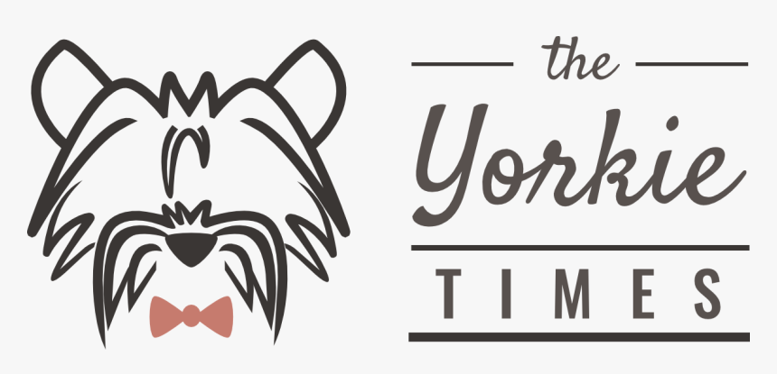 The Yorkie Times, HD Png Download, Free Download