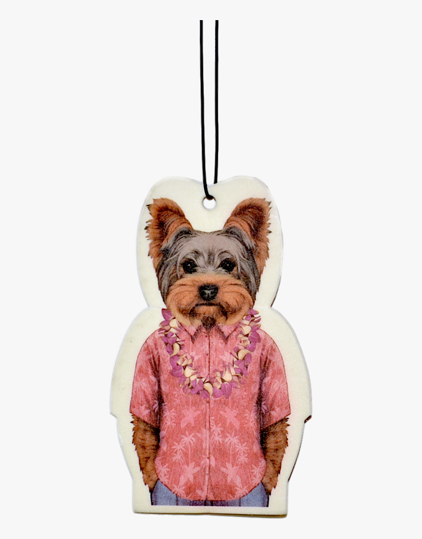 Yorkshire Terrier, HD Png Download, Free Download