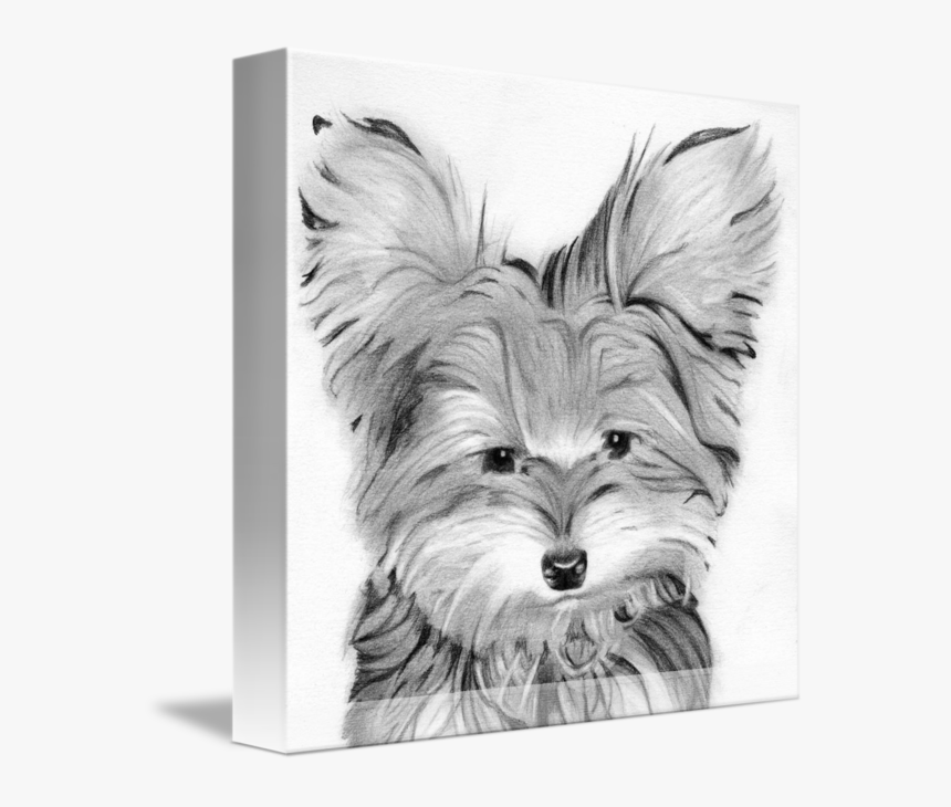 Yorkie Dog Head Pencil Print - Yorkshire Terrier, HD Png Download, Free Download